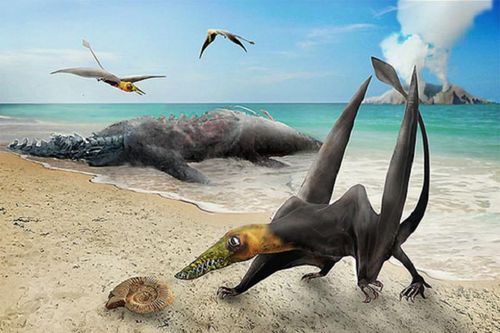 Cực nóng: Phát hiện 'quái vật trên không' chưa từng thấy trên thế giới
