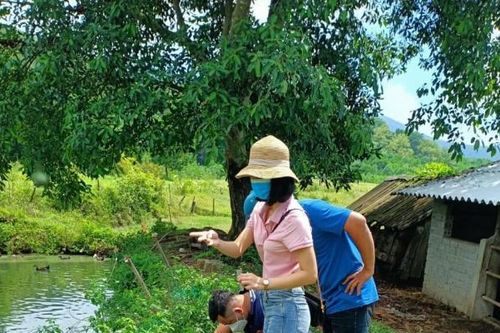 Thanh Hóa: Xuất hiện 3 trường hợp sốt xuất huyết Dengue