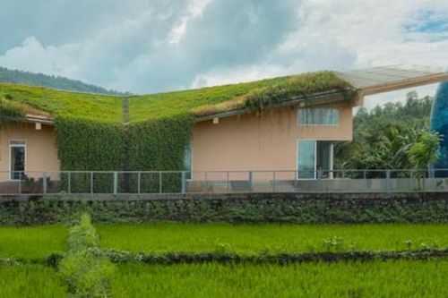 Lạ mắt với nhà cấp 4 có mái như thảo nguyên xanh