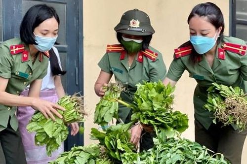 Những người đi trước