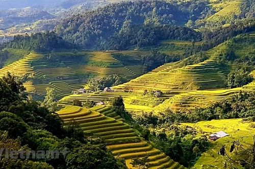 Ngắm những thửa ruộng bậc thang đẹp lộng lẫy ở Hoàng Su Phì