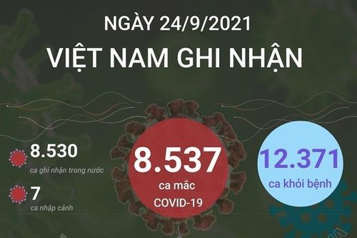 Thêm 8.537 ca mắc COVID-19 và 12.371 người khỏi bệnh