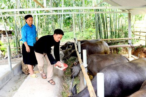 Quyết tâm thực hiện mục tiêu giảm nghèo