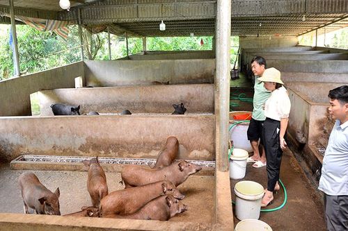 Tăng cường sự lãnh đạo của các cấp ủy Đảng trong thực hiện mục tiêu kép