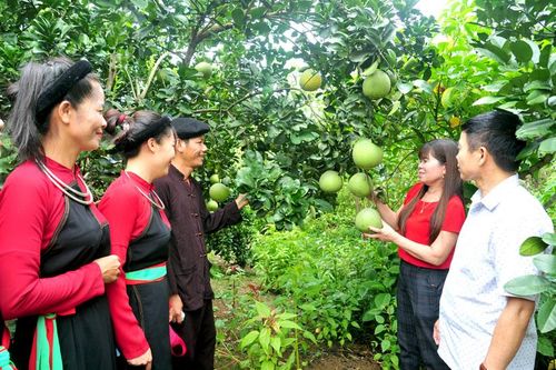Nói dân nghe làm dân tin