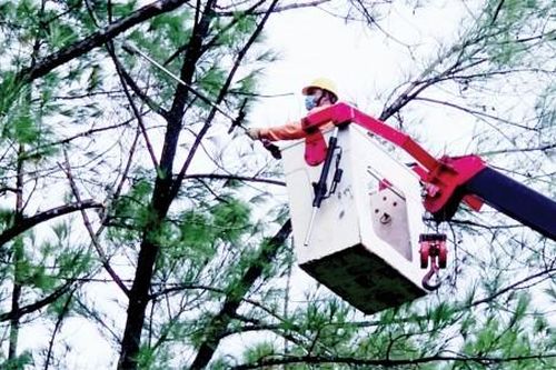 Kinh tế Sẵn sàng ứng phó với thiên tai