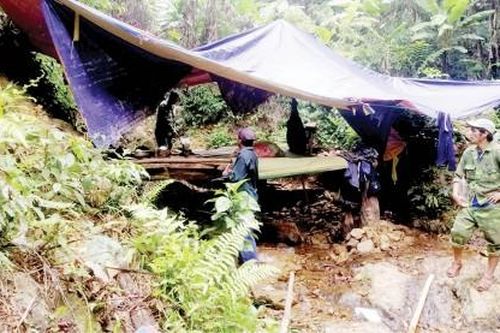 Bạn đọc Bạn đọc viết Nguy cơ mất an toàn khi vào rừng mùa bão, lũ