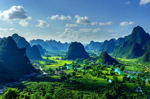 5 tỉ USD cam kết tài trợ tư nhân được trao cho các dự án bảo vệ thiên nhiên
