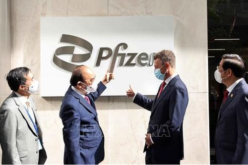 Pfizer cam kết cung cấp 31 triệu liều vaccine cho Việt Nam trong năm nay