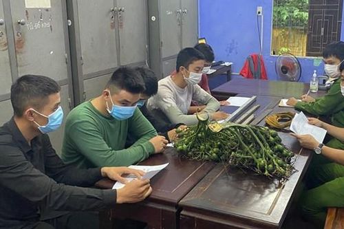 Trộm cau bất thành, nhóm côn đồ quay lại hành hung chủ nhà