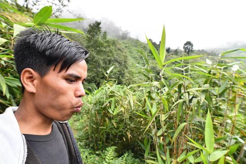 Ngôi làng không có tên, gọi nhau bằng tiếng huýt sáo