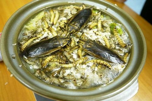 Ghê rợn món lẩu côn trùng, nhìn thôi cũng sởn gai ốc