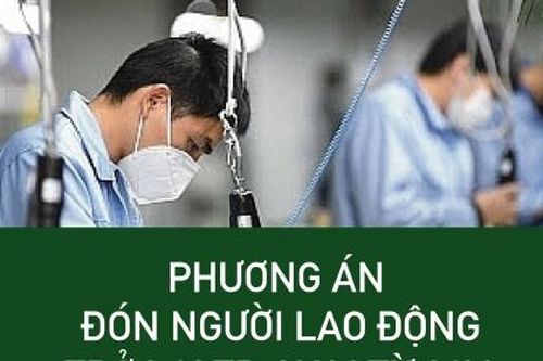 Phương án đón người lao động trở lại TP. HCM làm việc từ 1/10