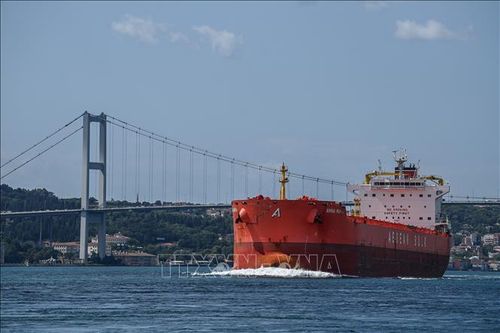 Hoạt động tại Eo biển Bosphorus tạm thời gián đoạn do va chạm tàu hàng