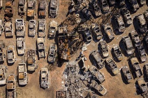 Lại bùng phát đám cháy rừng mới tại bang California của Mỹ