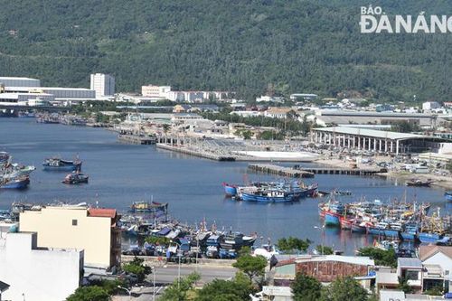 Cảng cá, chợ đầu mối thủy sản Thọ Quang và chợ đầu mối Hòa Cường sắp hoạt động lại