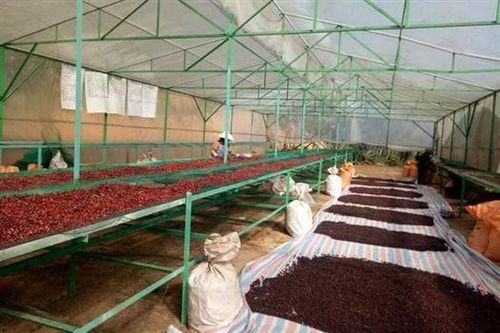Thu hút đầu tư vào lĩnh vực nông nghiệp theo lợi thế từng vùng