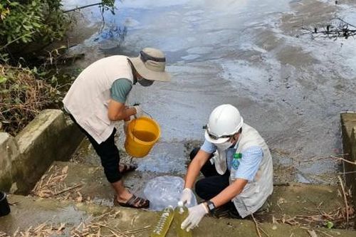 Bạn đọc Yêu cầu Chi nhánh Nhà máy tinh bột sắn dừng xả nước thải ra môi trường