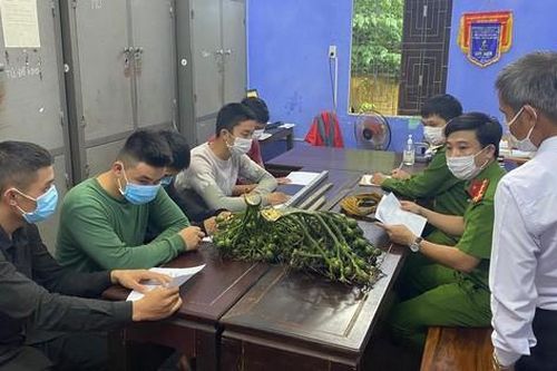 Thừa Thiên Huế: Bắt nhóm côn đồ vào nhà dân trộm cắp, hành hung chủ nhà nhập viện
