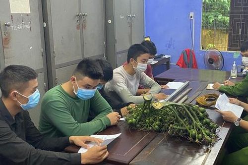 Bắt nhóm côn đồ ở Huế trộm cắp, hành hung chủ nhà nhập viện