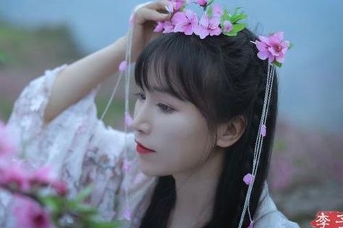 Bẫy đầu tư khiến Lý Tử Thất lao đao