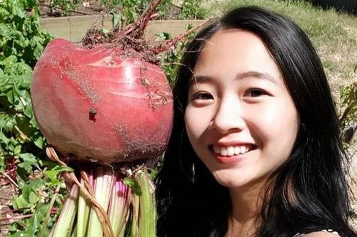 Người phụ nữ Việt ở Australia trồng cây khổng lồ trong vườn 1.000 m2