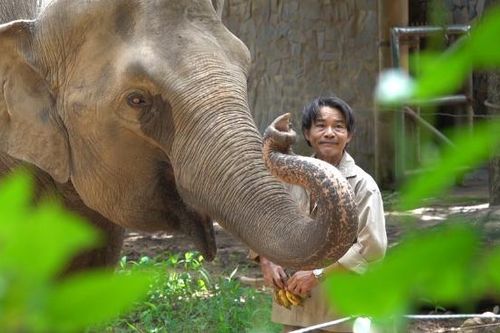 34 người vất vả chăm sóc 1.500 động vật ở Thảo Cầm Viên Sài Gòn mùa dịch