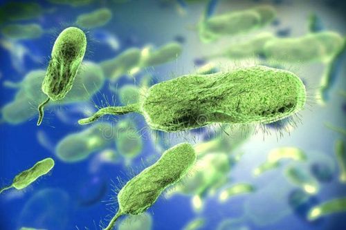 Người phụ nữ bị vi khuẩn 'ăn cụt' bàn tay trái trong vài giờ sau khi chế biến cá