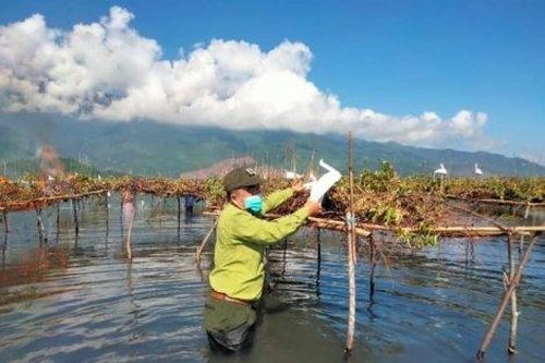 Kinh tế Kinh tế Nhận thức khác và hành động phải khác để bảo vệ chim trời