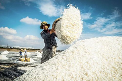 'Thủ phủ' nghề làm muối Việt Nam
