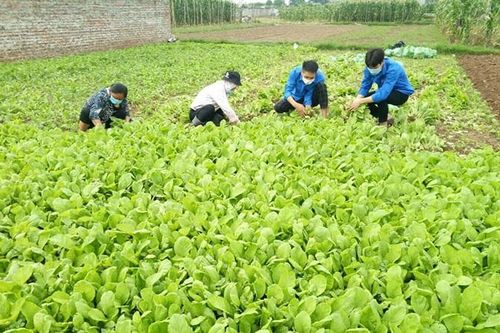 Bài 1: Lúng túng tiêu thụ nông sản