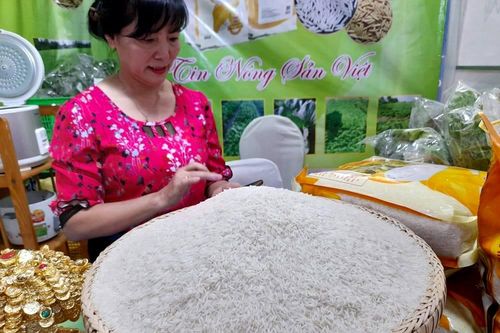 Cần Thơ: Hơn 241.000 người được hỗ trợ gạo từ nguồn dự trữ quốc gia