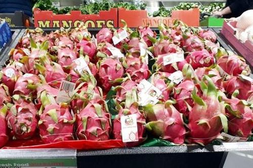 Thanh long được đánh giá '5 sao' tại Australia