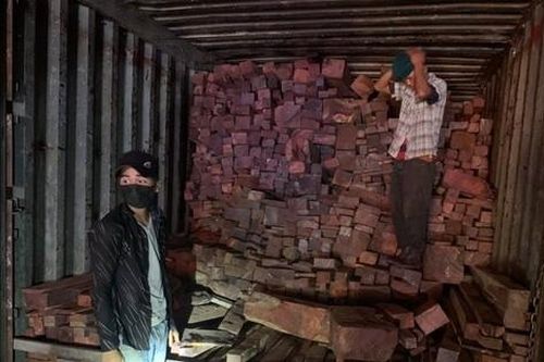 Quảng Trị: Phát hiện vụ buôn lậu gỗ, đá quý hiếm