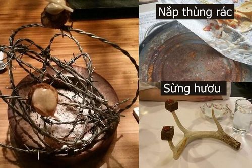 Nhà hàng 4 sao bày món ăn bằng 'vật lạ' khách vẫn nườm nượp