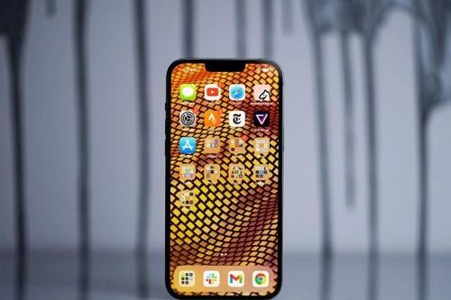 iPhone 13 Pro gặp lỗi với màn hình 120Hz