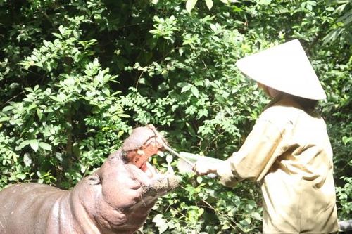 TP.HCM: 'Lời kêu cứu' của 1.500 động vật tại Thảo Cầm Viên liệu có ai nghe?