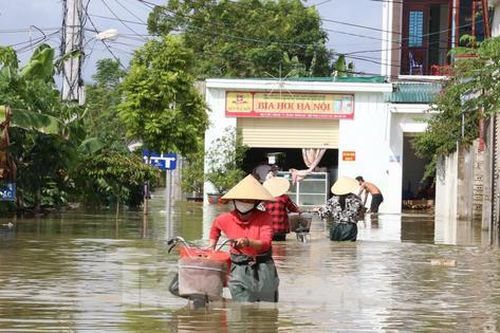 Cuộc sống của người dân vùng rốn lụt Nghệ An