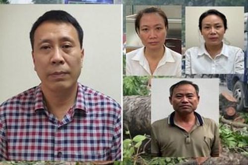 Vụ cây xanh Hà Nội: VKSND tối cao phê chuẩn khởi tố, bắt tạm giam thêm 4 bị can