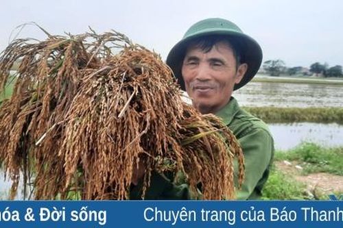 Mưa lớn gây ngập úng nghiêm trọng ở xã Hoằng Thanh