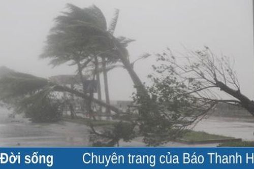 Cơn bão lòng...