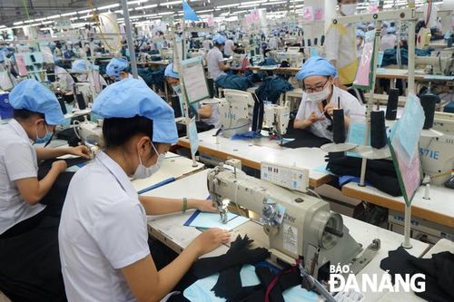 Chủ động 'chăm sóc sức khỏe' doanh nghiệp để phục hồi tăng trưởng