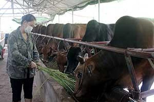 Chủ động triển khai mô hình hỗ trợ phát triển sản xuấtTin khácThông báo nội dung kỳ họp thứ tư (kỳ họp chuyên đề) HĐND tỉnh khóa XVII, nhiệm kỳ 2021- 2026Khởi nghĩa Bắc Sơn - bài học kinh nghiệm về khởi nghĩa vũ trang và xây dựng căn cứ địa cách mạng
