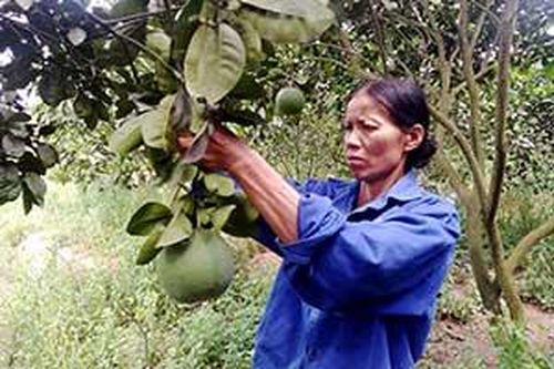 Thoát nghèo từ nguồn vốn vayTin khácThông báo nội dung kỳ họp thứ tư (kỳ họp chuyên đề) HĐND tỉnh khóa XVII, nhiệm kỳ 2021- 2026Khởi nghĩa Bắc Sơn - bài học kinh nghiệm về khởi nghĩa vũ trang và xây dựng căn cứ địa cách mạng