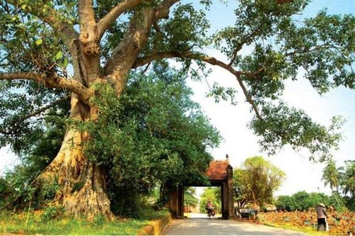 Hà Nội: Chuẩn bị nhiều sản phẩm du lịch 'xanh' hấp dẫn để đón khách