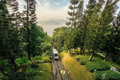 Khu bảo tồn có rừng nhiệt đới triệu năm tuổi ở Malaysia