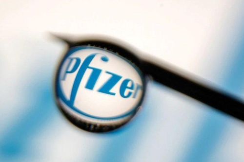 Pfizer thử nghiệm thuốc tránh lây nhiễm Covid-19