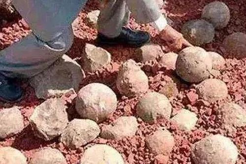 Đem đá lạ đi kiểm định, vỡ òa thấy 'báu vật' bên trong