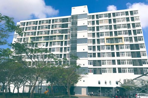 Trường Nội trú FPT sẵn sàng đón các em mồ côi cha mẹ vì COVID-19