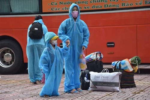 Dịch COVID-19: Bà Rịa-Vũng Tàu đón hơn 200 thai phụ về từ TP. HCM